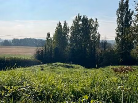 vente terrain 1232 m² veuzain-sur-loire (41150)