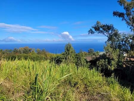 vente terrain 1131 m² saint-leu (97424)