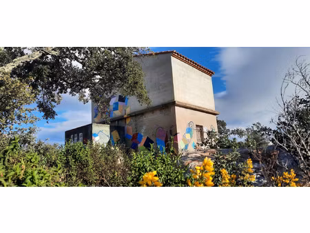 terrain de loisir vallespir nature vue canigou casot 10625m