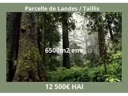 parcelle de landes