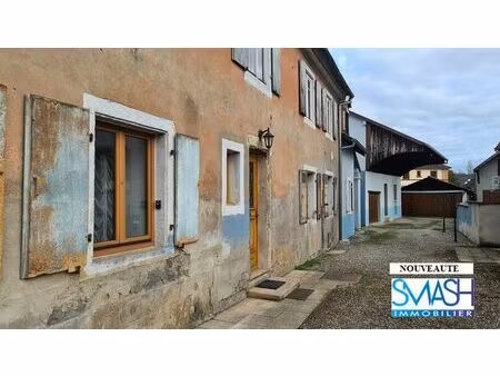 vente maison 8 pièces 246 m² brunstatt-didenheim (68350)