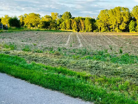 vente terrain 950 m² valravillon (89113)