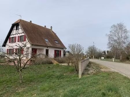 location baldenheim  bureau  locaux ou autre