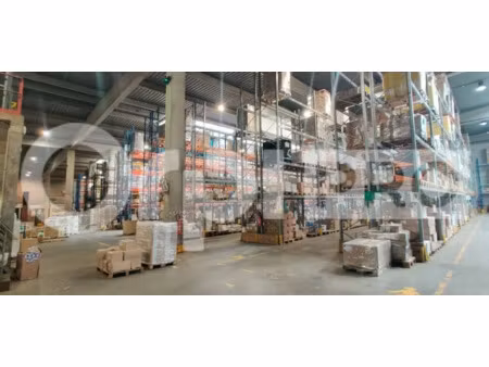 local d'activite a louer