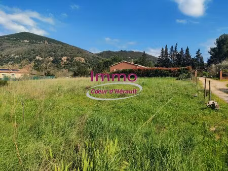 terrain à aménager