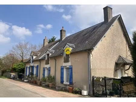 vente maison 7 pièces 164 m² blet (18350)