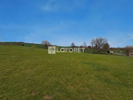 terrain près de villemur sur tarn à vendre
