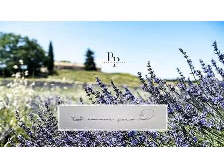 villa de luxe de 38 pièces en vente viens  provence-alpes-côte d'azur