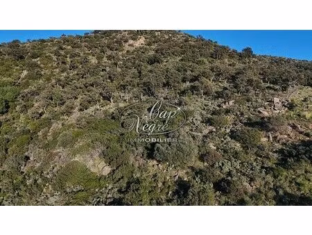 vente terrain 24850 m² bormes-les-mimosas (83230)