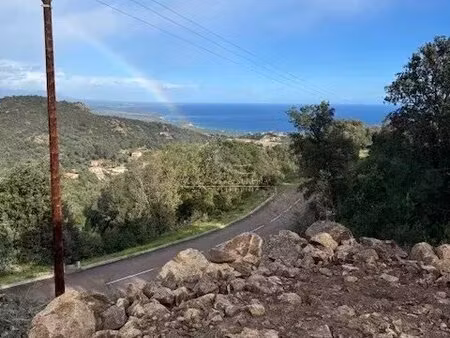 terrain de 2 600 m² avec vue panoramique - sari solenzara