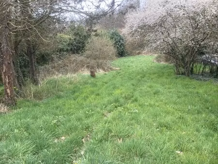 terrain de 1 433 m²