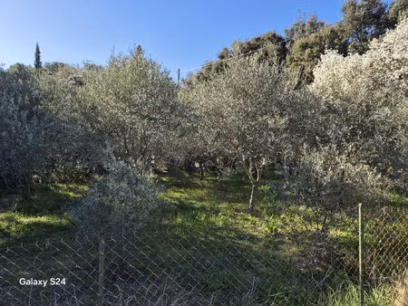 vente terrain 445 m² lambesc (13410)