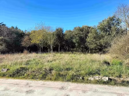 vente terrain 197 m² à dolus-d'oléron (17550)  82 800 €