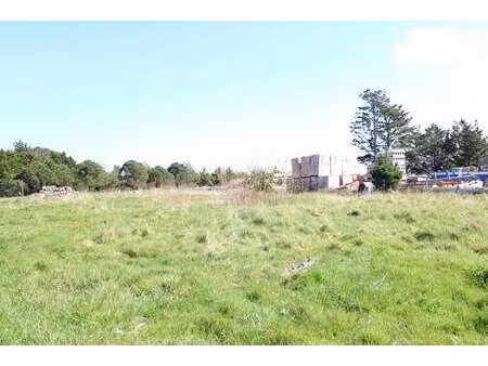 vente terrain à bangor (56360) : à vendre / 929m² bangor