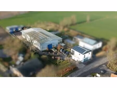 industrieel gebouw te huur in maldegem