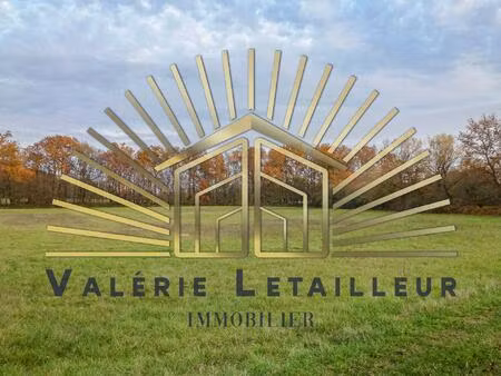 terrain non constructible 53300m2 composé de bois et de prêts