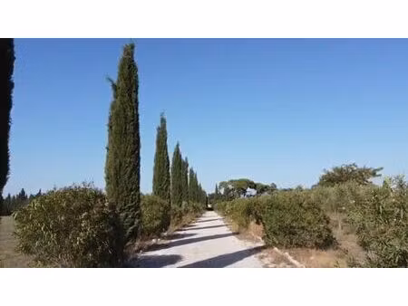 maison de prestige de 1000 m2 en vente lédenon  france