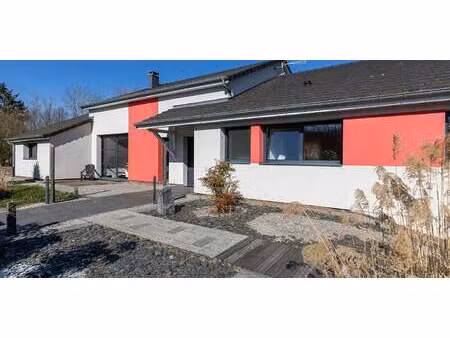 maison avec piscine et terrasse teting-sur-nied (57)