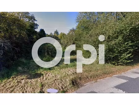 vente terrain à batir 964 m² à nayemont-les-fosses (88100)  37 000 €