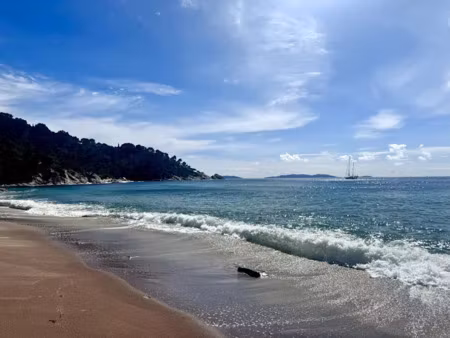 vente maison 7 pièces 210 m² à le lavandou (83980)  5 460 000 €