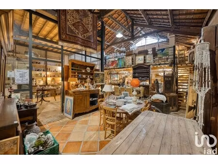 vente boutique/local commercial 390 m²