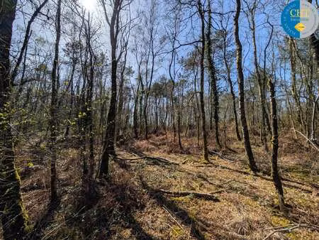 vente terrain à campénéac (56800) : à vendre / campénéac