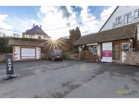 immobilier professionnel à louer ribeauvillé