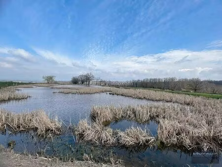 vente local commercial à noailly