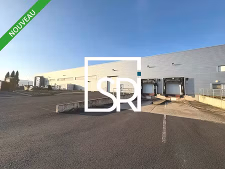 entrepot - local d'activite a louer