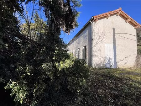 vente maison 8 pièces 200 m² clermont-dessous (47130)