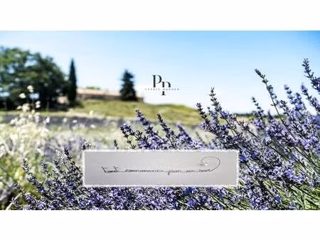 luberon : domaine de charme / activité d'accueil / exploitation biologique