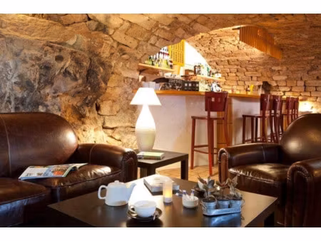 local professionnel à vendre vallon pont d'arc 43 pièce(s) 2500m2 990 000€