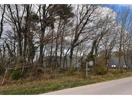 vente terrain à guer (56380) : à vendre / 2740m² guer