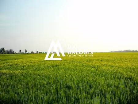 vente terrain 436 m² curgies (59990)