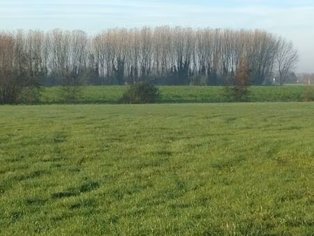 vente terrain 4231 m² escaudœuvres (59161)