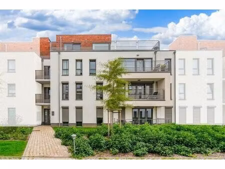 ! sous option ! appartement 2 chambres + cave