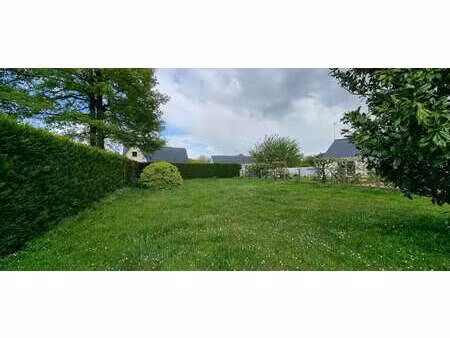 vente terrain à champigne (49330) : à vendre / 385m² champigne