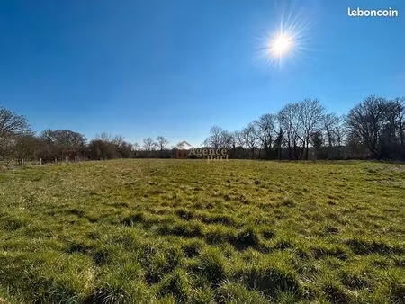 terrain 7991 m² argences