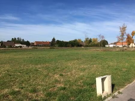 vente terrain 411 m² thun-l'évêque (59141)