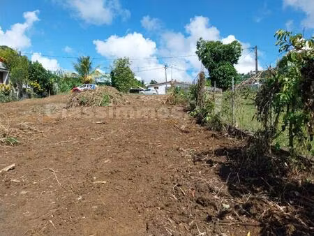 terrain de 860m² sur rivière salée