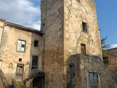 à vendre : ensemble immobilier atypique au cœur de sauvagnat sainte marthe