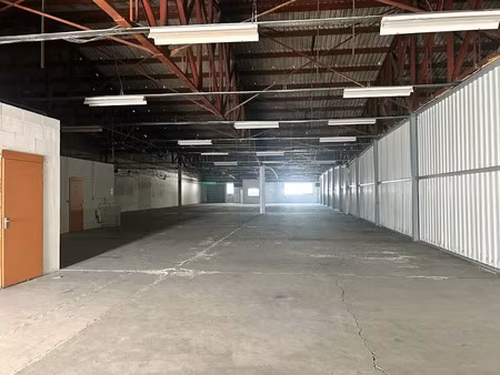 location locaux professionnels 1033 m² à châtenoy-le-royal (71880)  4 583 €