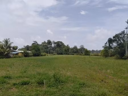 terrain 5 511 m² montsinery tonnegrande