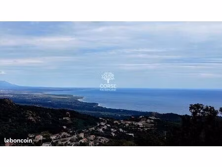 terrain 2 600 m² sari solenzara