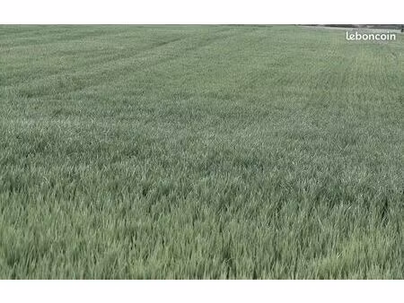 terrain agricole 25 445 m² dange saint romain