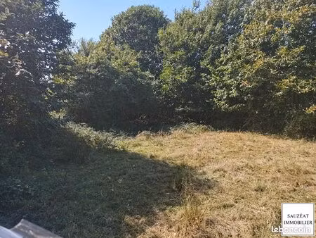 terrain 12336 m² magnac bourg