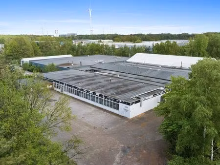 bien professionnel à vendre à tessenderlo € 3.600.000 (jth57) - dg real estate | zimmo