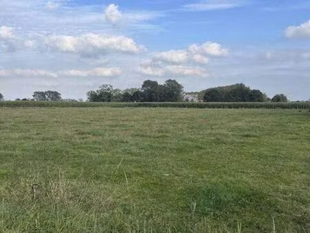 terrain à vendre à middelburg € 100.000 (l5n5f) - not. vanderplaetsen & redel | zimmo