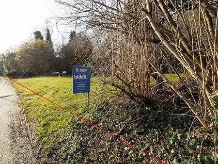 terrain à vendre à borgloon € 134.000 (l5n3s) - van parijs & van parijs | zimmo
