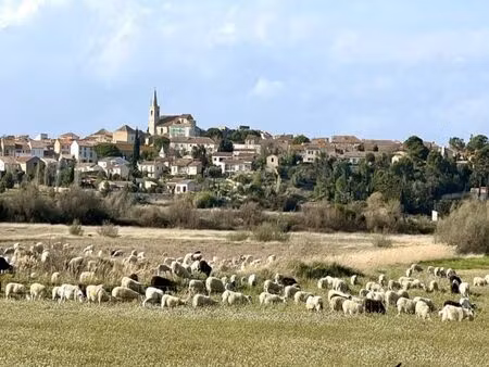 vente terrain ouveillan 11590 - 129600 € - surface privée